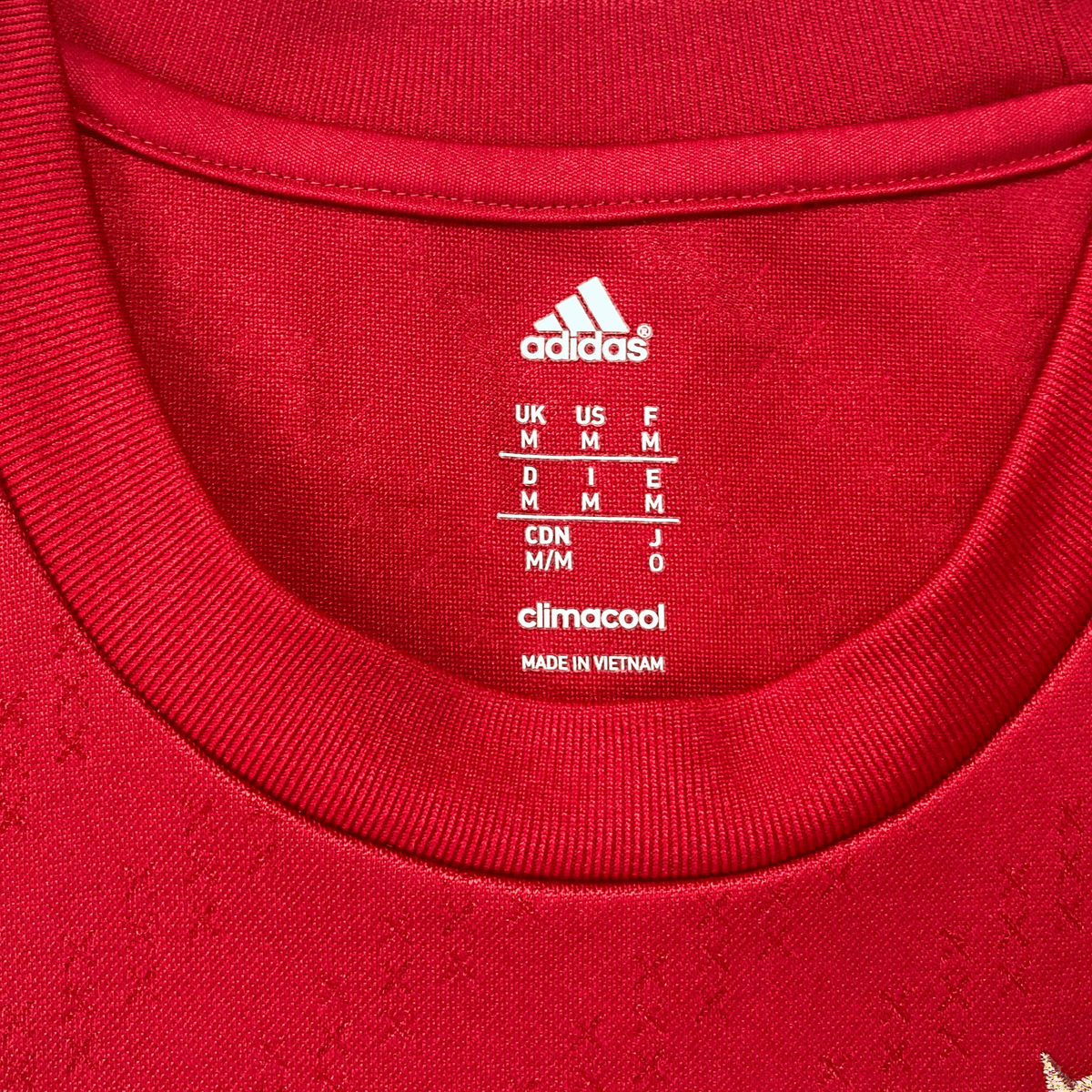 Original Ajax 2013-2014 Home football shirt, size M, Schöne 20 | Nostalgic Football Shirts