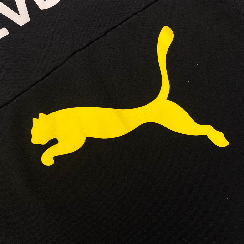 Dortmund 2017-18 Training Sweater M